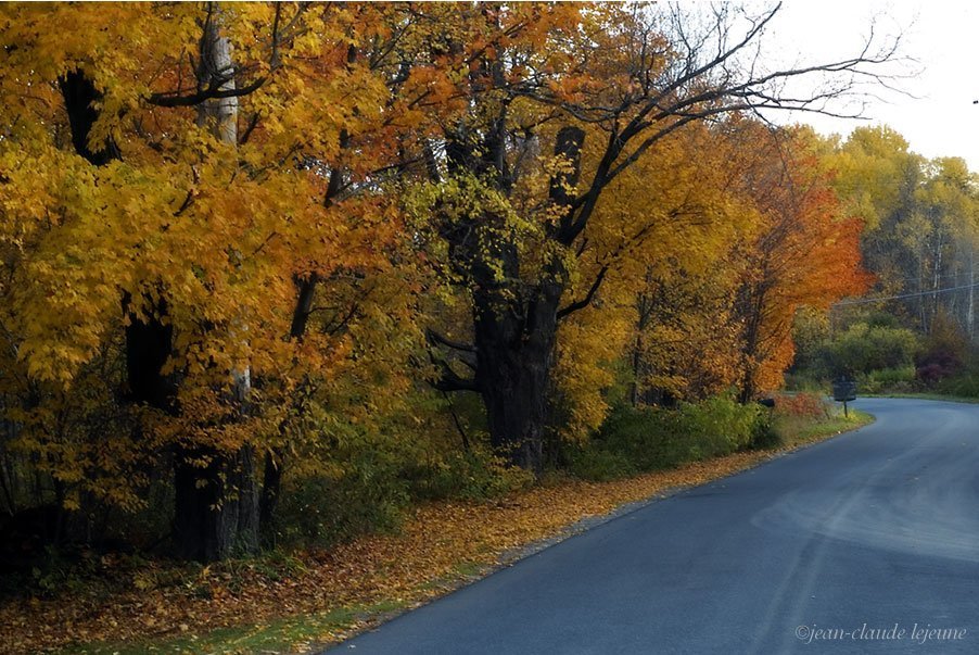 huckle hill road