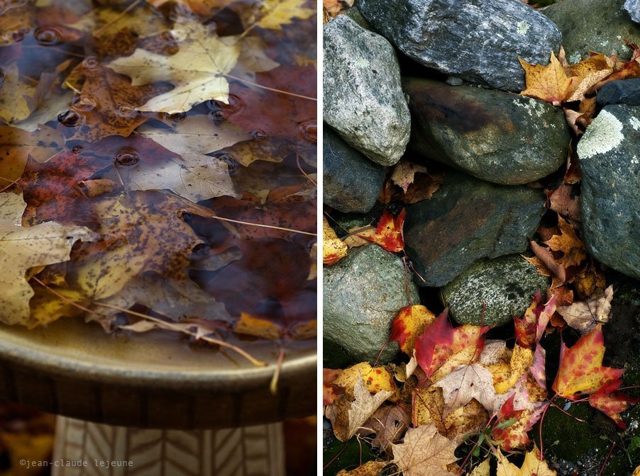 bird bath-stone wall