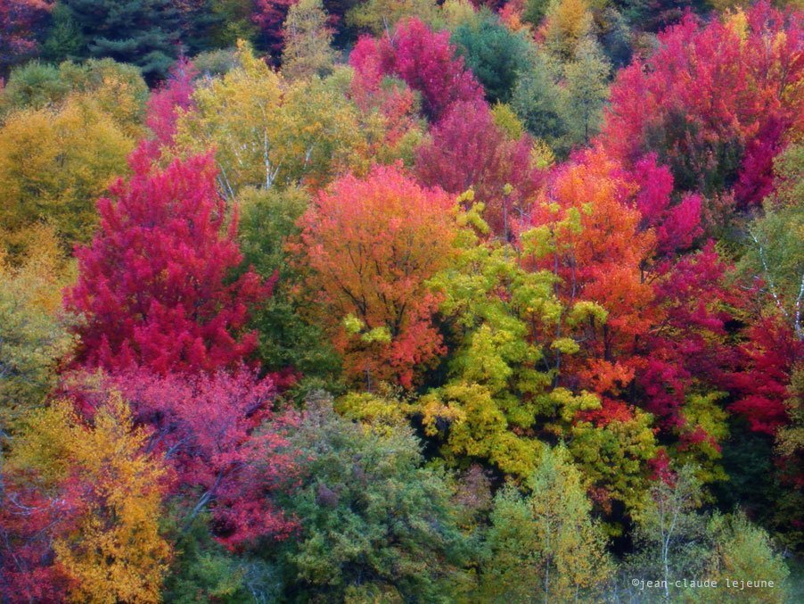 Huckle Hill Road: Autumn Flavors