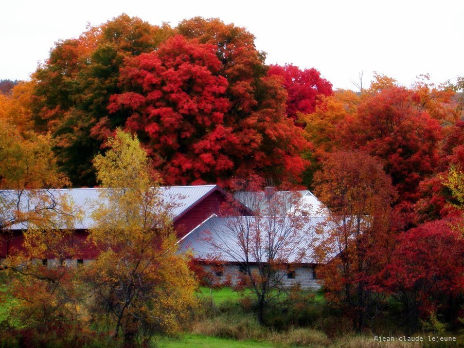 Huckle Hill Road: Autumn Flavors